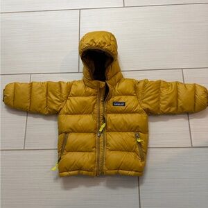 Yellow Patagonia Puffer Jacket with Hood. 12-18 Months.